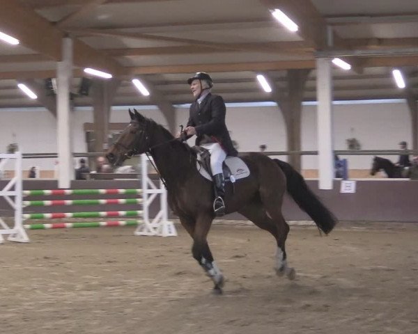 Reitturnier Olfen-Vinnum 2024