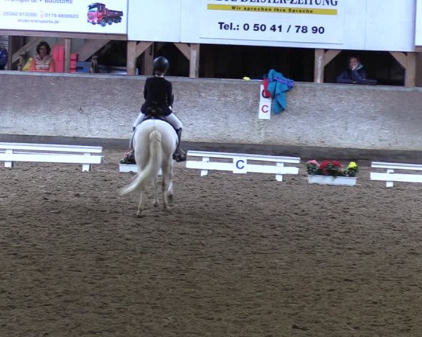 Reitturnier Springe 2024