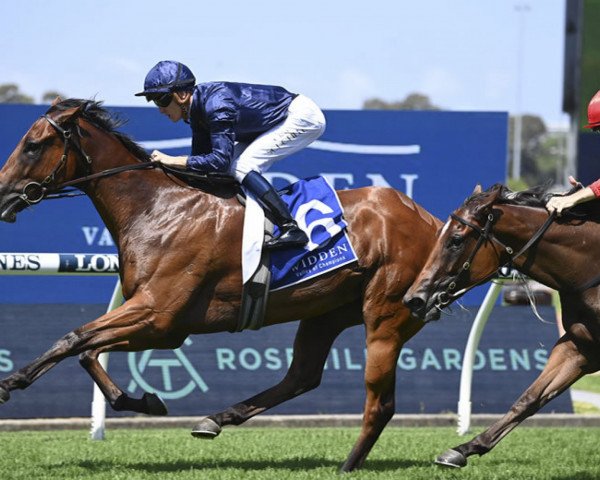 horse Learning To Fly xx (Thoroughbred, 2021, from Justify xx)