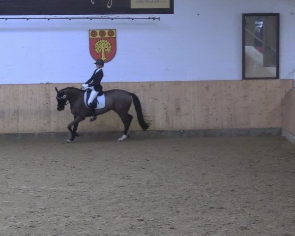 Reitturnier Olfen-Vinnum 2024