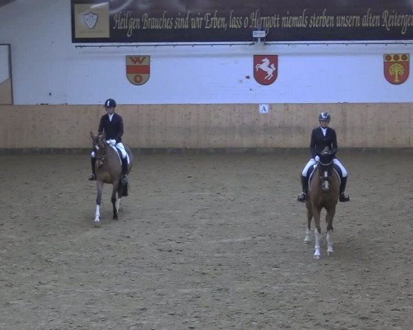 Reitturnier Olfen-Vinnum 2024