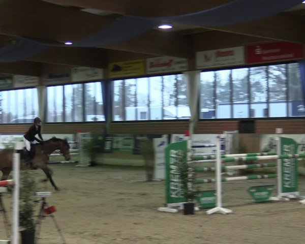 Reitturnier Heiden 2024