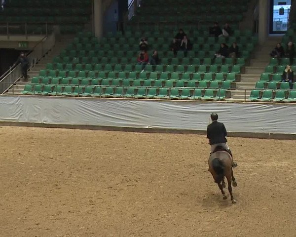 Reitturnier Kreuth/Opf. 2024
