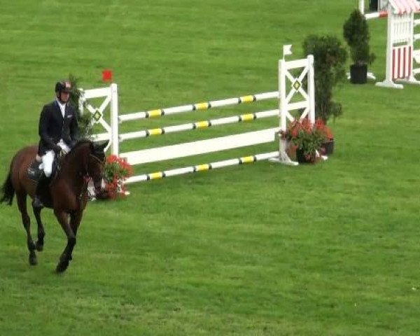 Riesenbeck INTERNATIONAL 2011
