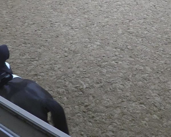 Reitturnier Olfen-Vinnum 2024