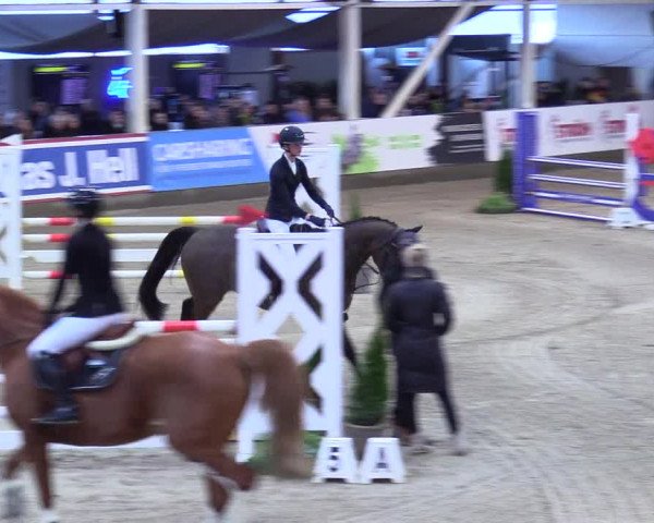 5. Nordic Jumping event Negernbötel 2024
