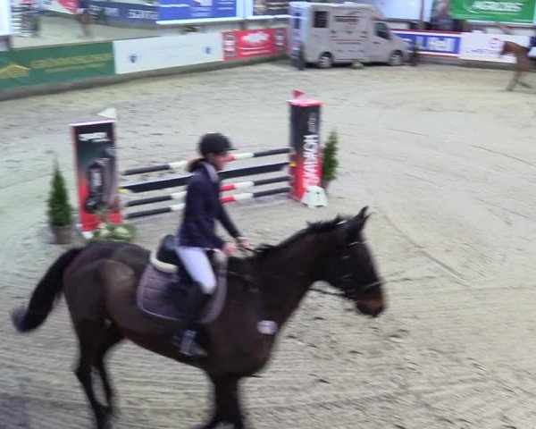 5. Nordic Jumping event Negernbötel 2024
