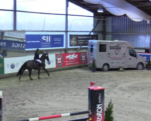 5. Nordic Jumping event Negernbötel 2024