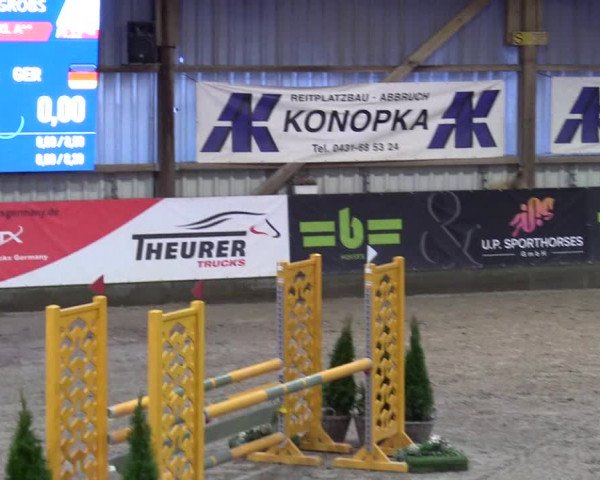5. Nordic Jumping event Negernbötel 2024