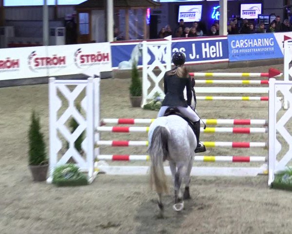 5. Nordic Jumping event Negernbötel 2024