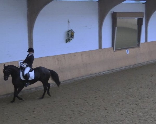 Reitturnier Olfen-Vinnum 2024