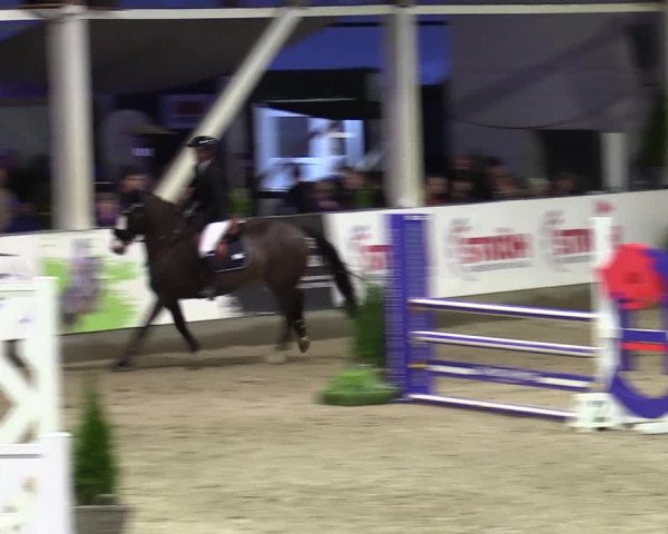 5. Nordic Jumping event Negernbötel 2024