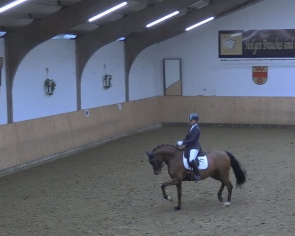 Reitturnier Olfen-Vinnum 2024