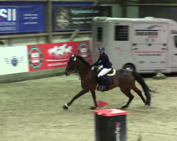 5. Nordic Jumping event Negernbötel 2024