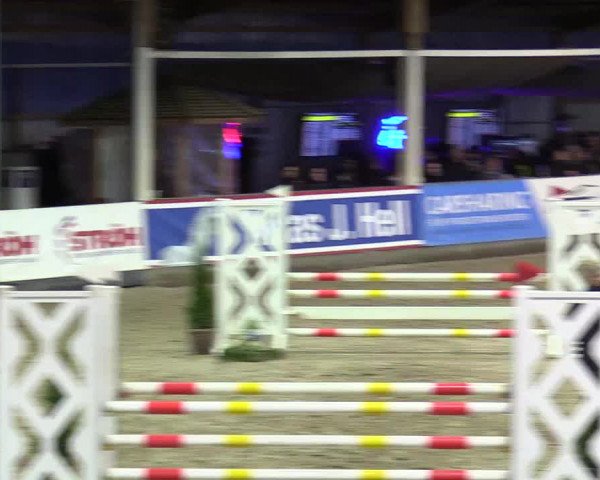 5. Nordic Jumping event Negernbötel 2024