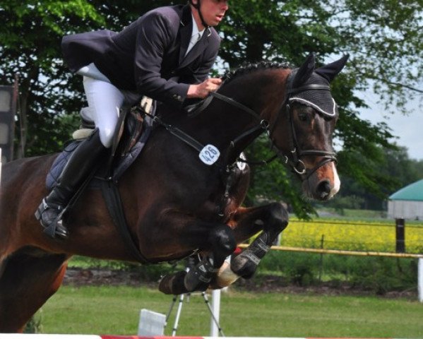 jumper For Fabiano (Hanoverian, 2007, from For Edition)