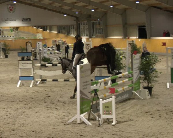 Reitturnier Münster-Amelsbüren 2024