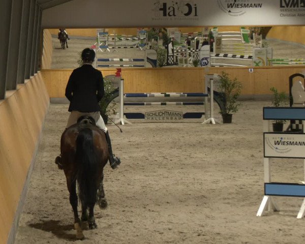 Reitturnier Münster-Amelsbüren 2024
