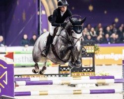 Springpferd Com'On Miss Ogano Sit (Deutsches Sportpferd, 2016, von Ogano Sitte)