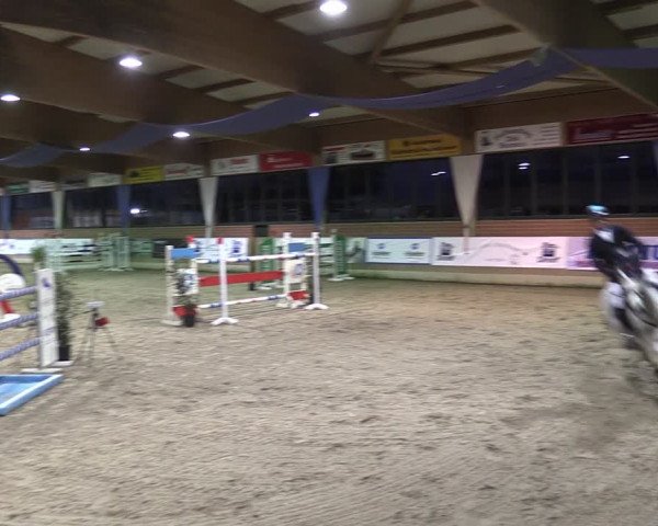 Reitturnier Heiden 2024