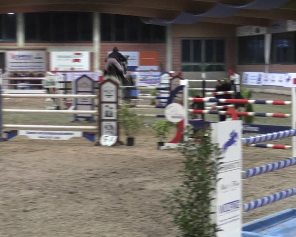 Reitturnier Heiden 2024