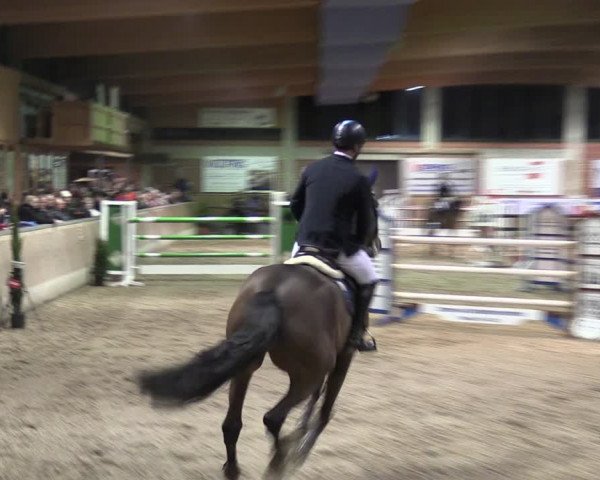 Reitturnier Heiden 2024