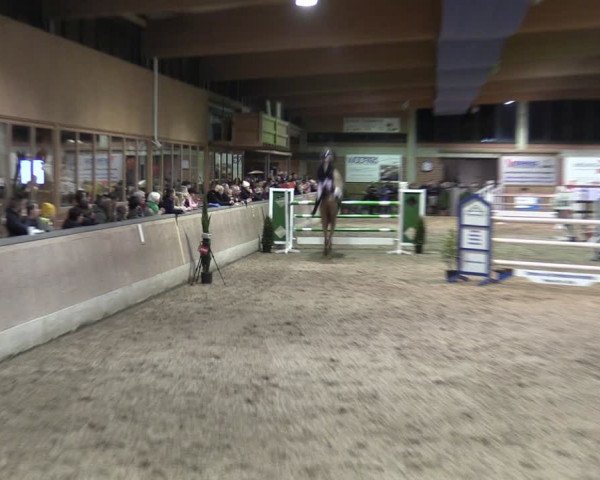 Reitturnier Heiden 2024