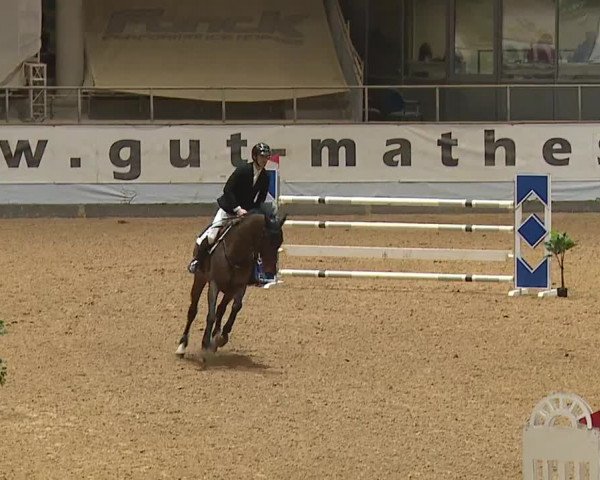 Reitturnier Kreuth/Opf. 2024