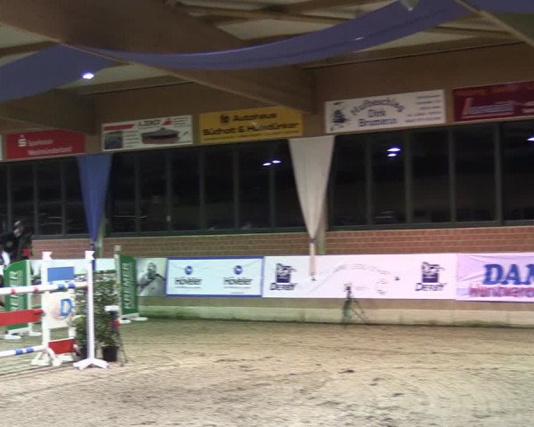 Reitturnier Heiden 2024