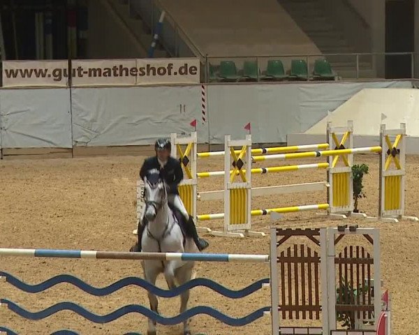 Reitturnier Kreuth/Opf. 2024