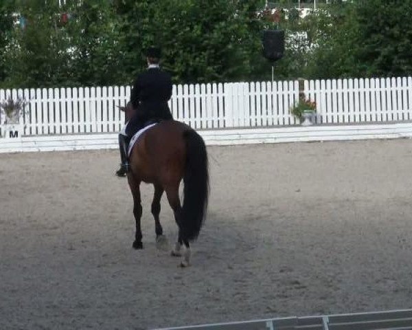 Riesenbeck INTERNATIONAL 2011
