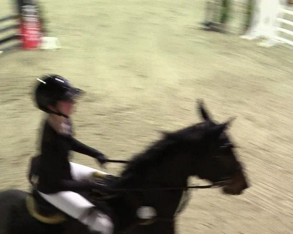 5. Nordic Jumping event Negernbötel 2024