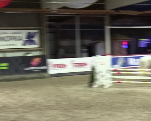 5. Nordic Jumping event Negernbötel 2024