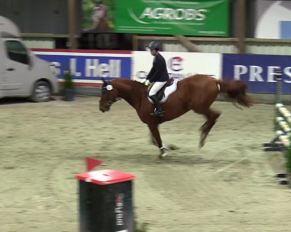 5. Nordic Jumping event Negernbötel 2024