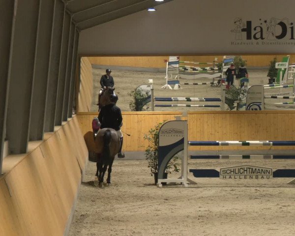 Reitturnier Münster-Amelsbüren 2024