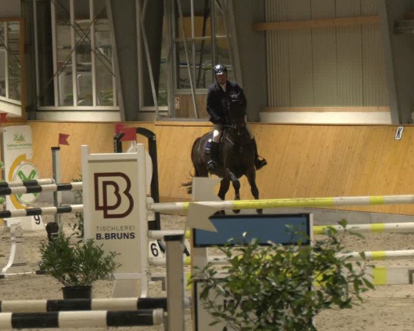 Reitturnier Münster-Amelsbüren 2024