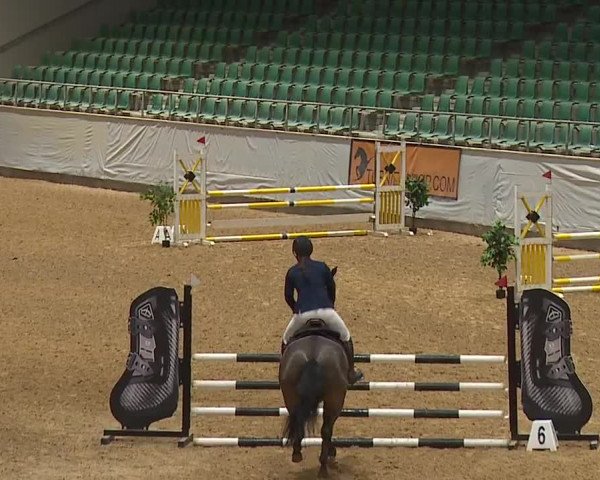 Reitturnier Kreuth/Opf. 2024