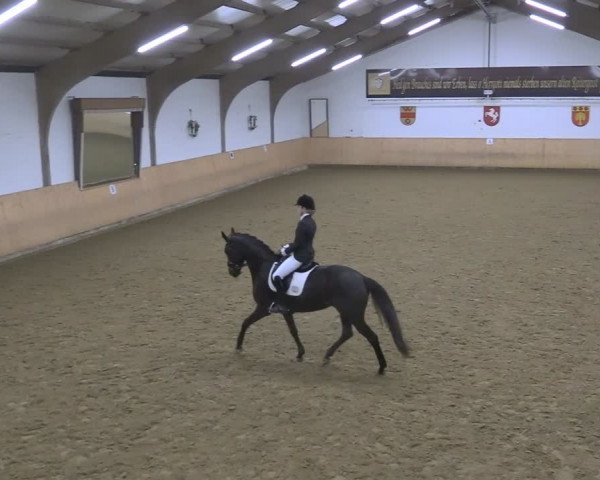 Reitturnier Olfen-Vinnum 2024