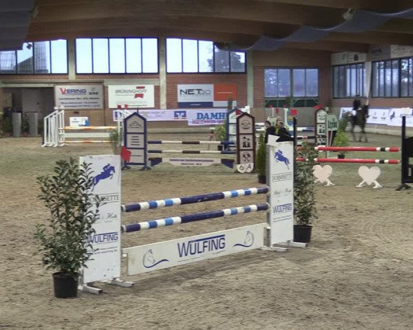 Reitturnier Heiden 2024