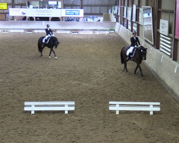 Reitturnier Springe 2024