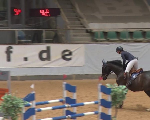 Reitturnier Kreuth/Opf. 2024