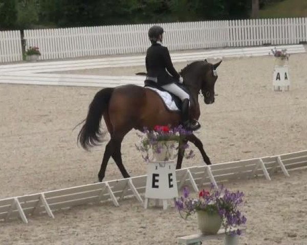 Riesenbeck INTERNATIONAL 2011