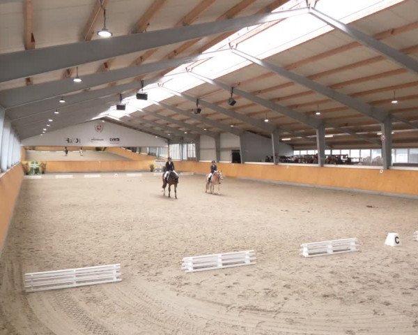 Reitturnier Münster-Amelsbüren 2024