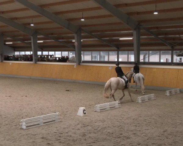 Reitturnier Münster-Amelsbüren 2024