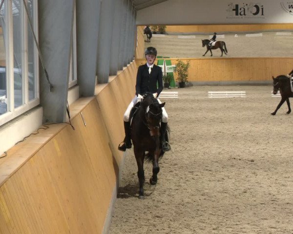 Reitturnier Münster-Amelsbüren 2024