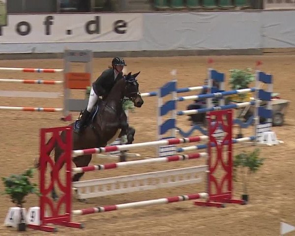 Reitturnier Kreuth/Opf. 2024