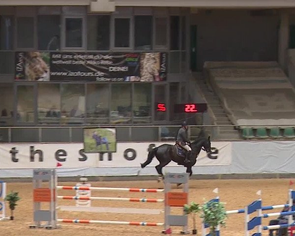 Reitturnier Kreuth/Opf. 2024