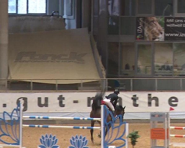 Reitturnier Kreuth/Opf. 2024