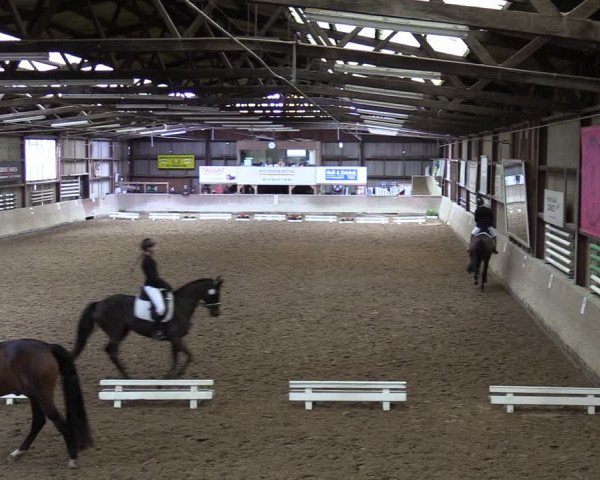 Reitturnier Springe 2024