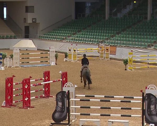 Reitturnier Kreuth/Opf. 2024